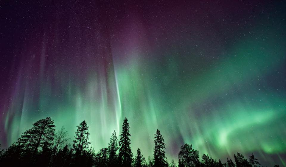 See the northern lights